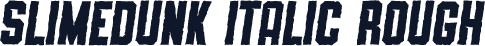 SLIMEDUNK ITALIC ROUGH