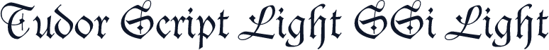 Tudor Script Light SSi Light