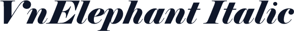 VnElephant Italic