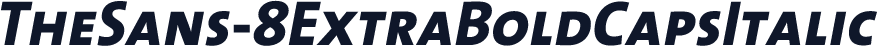 TheSans-8ExtraBoldCapsItalic
