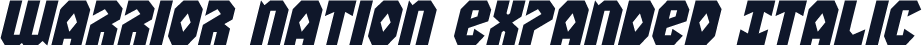 Warrior Nation Expanded Italic