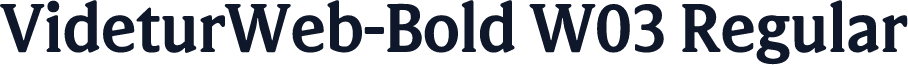 VideturWeb-Bold W03 Regular