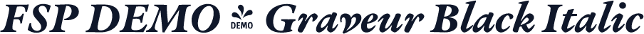 FSP DEMO - Graveur Black Italic