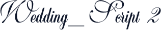 Wedding_Script 2