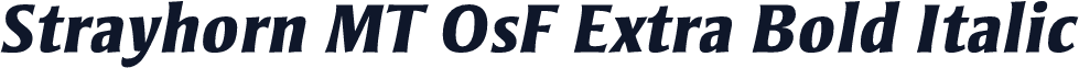 Strayhorn MT OsF Extra Bold Italic