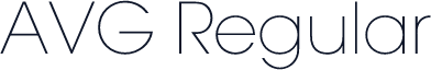 AVG Regular