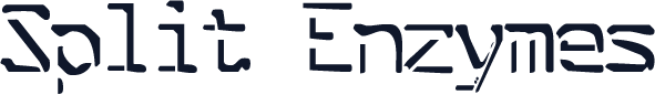 Split Enzymes