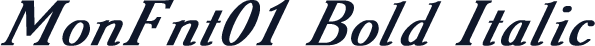 MonFnt01 Bold Italic