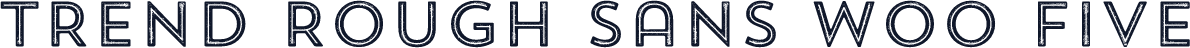 Trend Rough Sans W00 Five