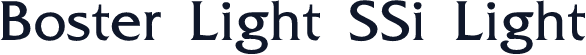 Boster Light SSi Light