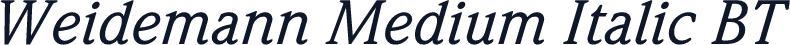 Weidemann Medium Italic BT