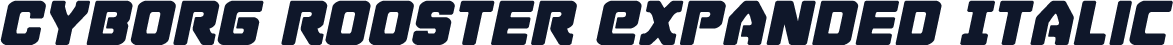 Cyborg Rooster Expanded Italic