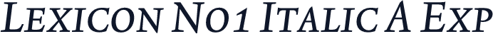 Lexicon No1 Italic A Exp
