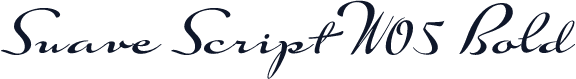 Suave Script W05 Bold