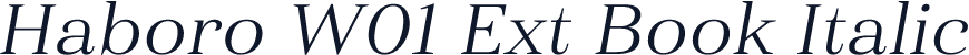 Haboro W01 Ext Book Italic