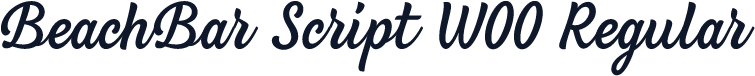 BeachBar Script W00 Regular