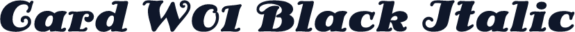 Card W01 Black Italic
