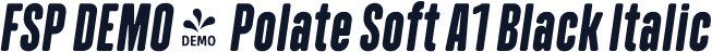 FSP DEMO - Polate Soft A1 Black Italic