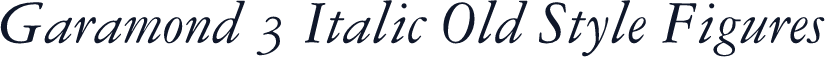 Garamond 3 Italic Old Style Figures