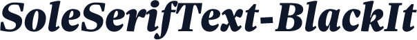 SoleSerifText-BlackIt