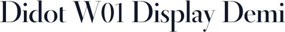 Didot W01 Display Demi