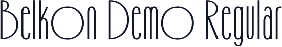Belkon Demo Regular
