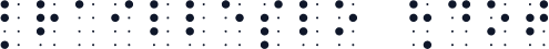BrailleSlo 8dot