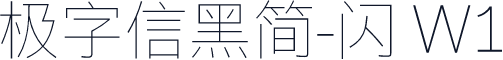 极字信黑简-闪 W1