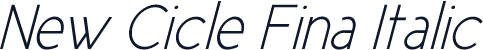 New Cicle Fina Italic