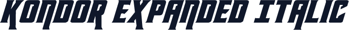 Kondor Expanded Italic