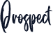 Prospect