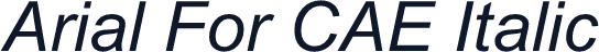 Arial For CAE Italic