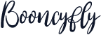 Booncyfly