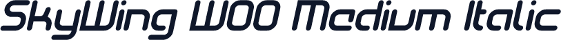 SkyWing W00 Medium Italic