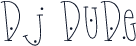 DJ Dude