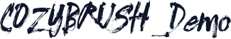 COZYBRUSH_Demo