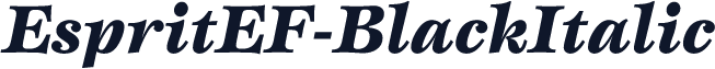 EspritEF-BlackItalic