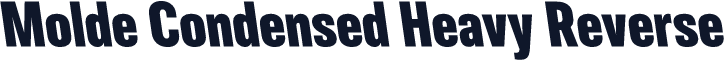 Molde Condensed Heavy Reverse