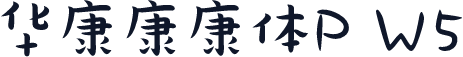 华康康康体P W5