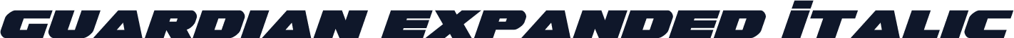 Guardian Expanded Italic