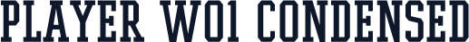 Player W01 Condensed