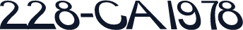228-CAI978