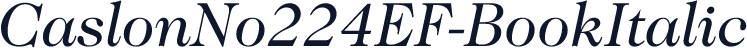 CaslonNo224EF-BookItalic