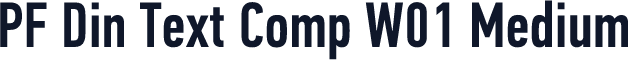 PF Din Text Comp W01 Medium