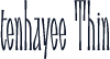 tenhayee Thin