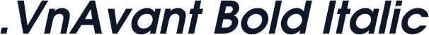 .VnAvant Bold Italic