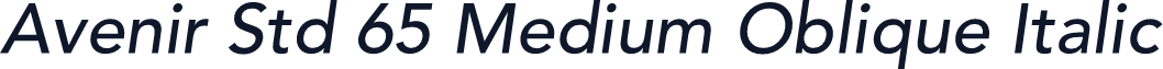 Avenir Std 65 Medium Oblique Italic