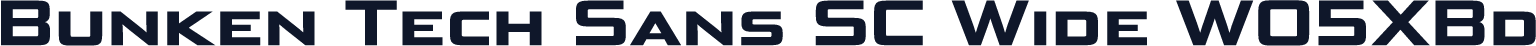 Bunken Tech Sans SC Wide W05XBd