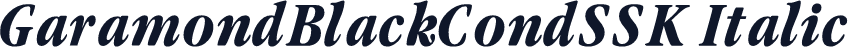 GaramondBlackCondSSK Italic