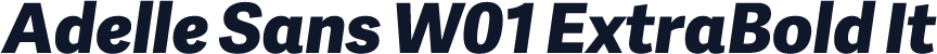 Adelle Sans W01 ExtraBold It